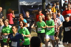 10964 hitachi-innenhafenlauf-2013-101 1000x667