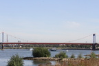 IMG 0071
