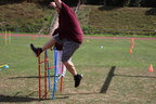 IMG 4278