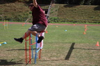 IMG 4279