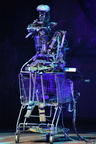 IMG 4019 (2)
