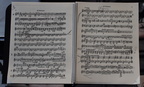 IMG 4827 (2)