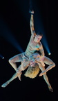 IMG 7841 (3)