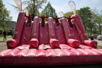 IMG 3975 (2)