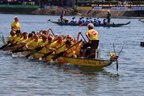 IMG 0658 (2)