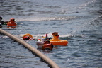IMG 3888 (2)