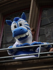 IMG 3404 (1)