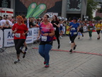IMG 0320 (1)