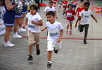 IMG 7535 (1)