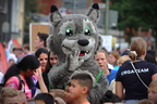 IMG 7413 (1)
